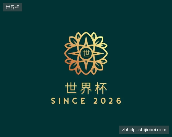 了解世界杯中国官网
